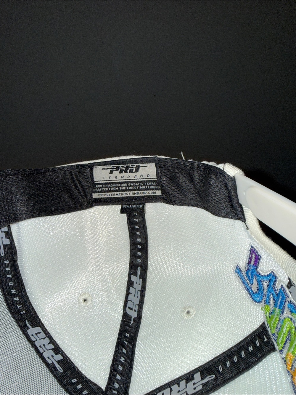 Tampa Bay Devil Rays Retro Logo Snapback Hat - Picture 6 of 7